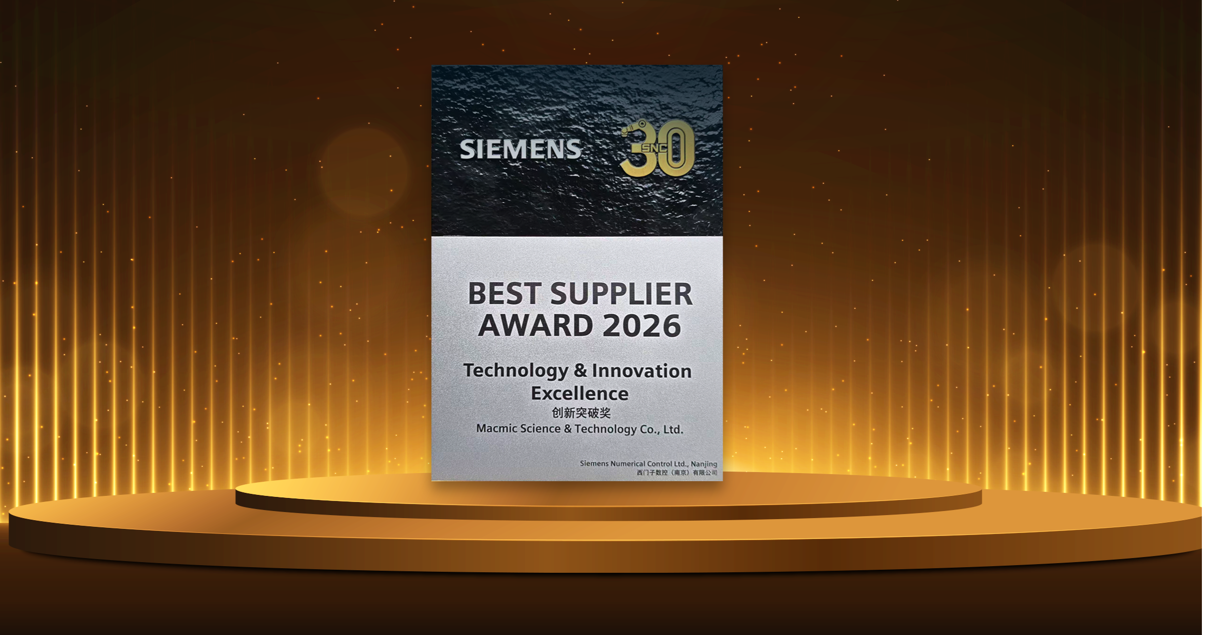 战略合作奖 - 副本.png